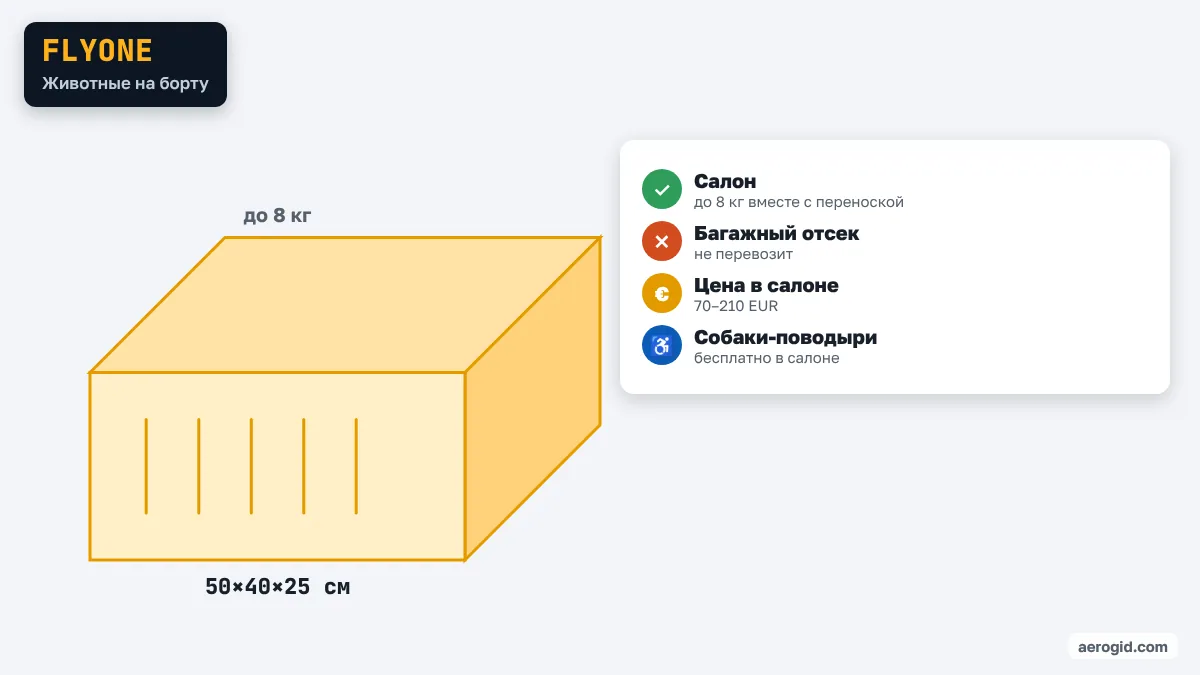 Правила FlyOne для животных: Салон – до 8 кг вместе с переноской; Багажный отсек – не перевозит; Цена в салоне – 70–210 EUR; переноска 50×40×25 см.