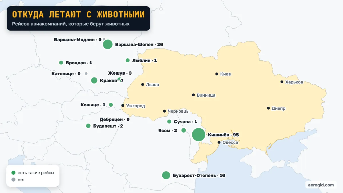 Карта аэропортов по количеству рейсов авиакомпаний, перевозящих животных: Кишинёв · 95, Варшава-Шопен · 26, Бухарест-Отопень · 16, Краков · 7, Жешув · 3.