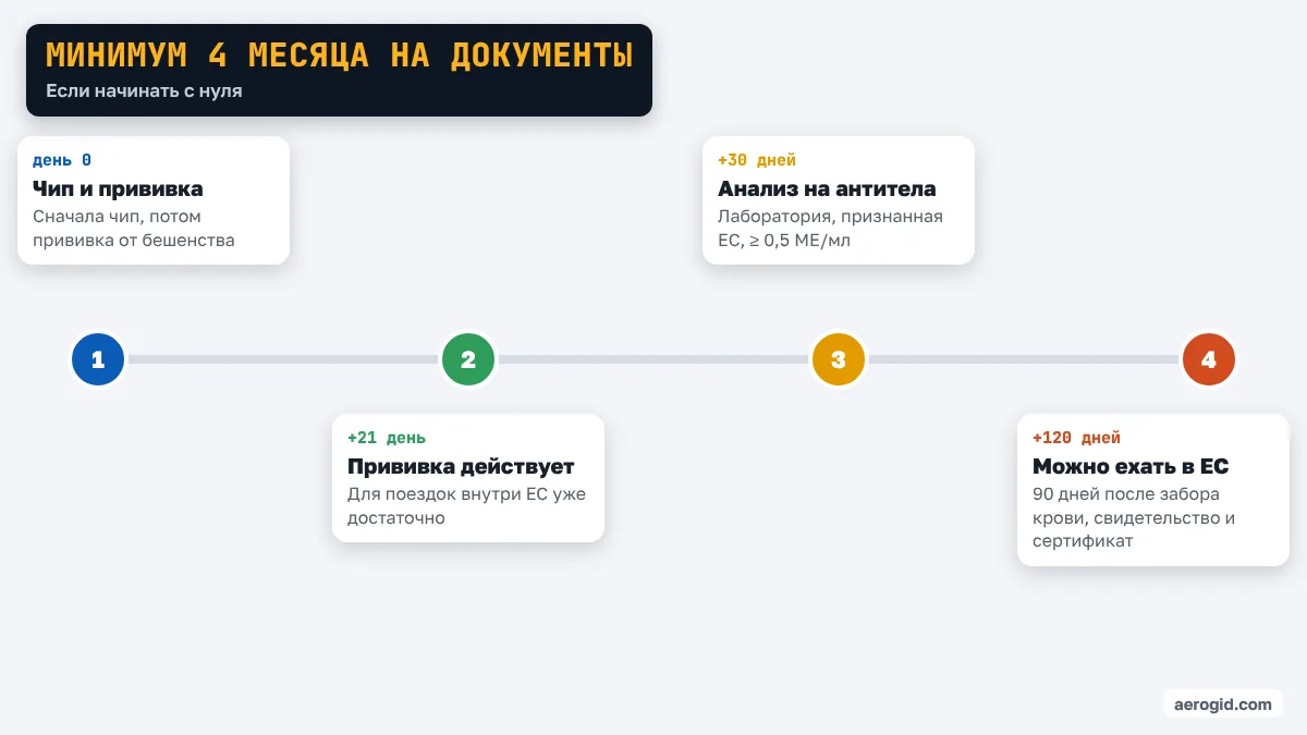 Шкала времени: чип и прививка, через 30 дней анализ на антитела, через 120 дней можно въехать с животным в ЕС из Украины.